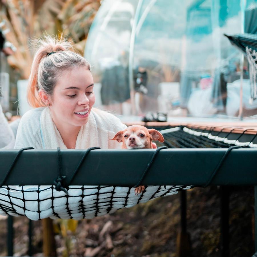 Chami Glamping Βίλα Manizales Εξωτερικό φωτογραφία