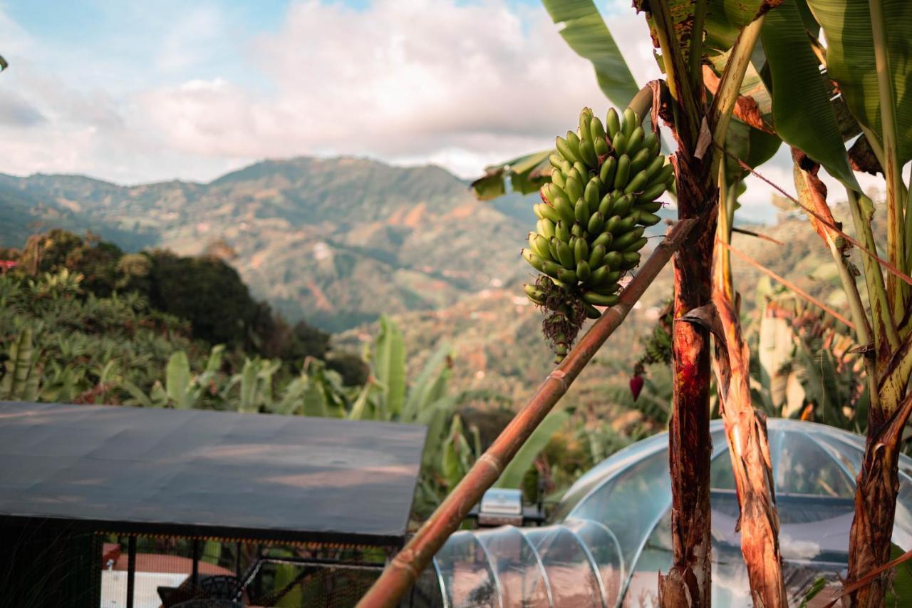 Chami Glamping Βίλα Manizales Εξωτερικό φωτογραφία
