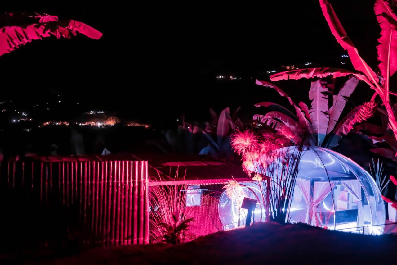 Chami Glamping Βίλα Manizales Εξωτερικό φωτογραφία