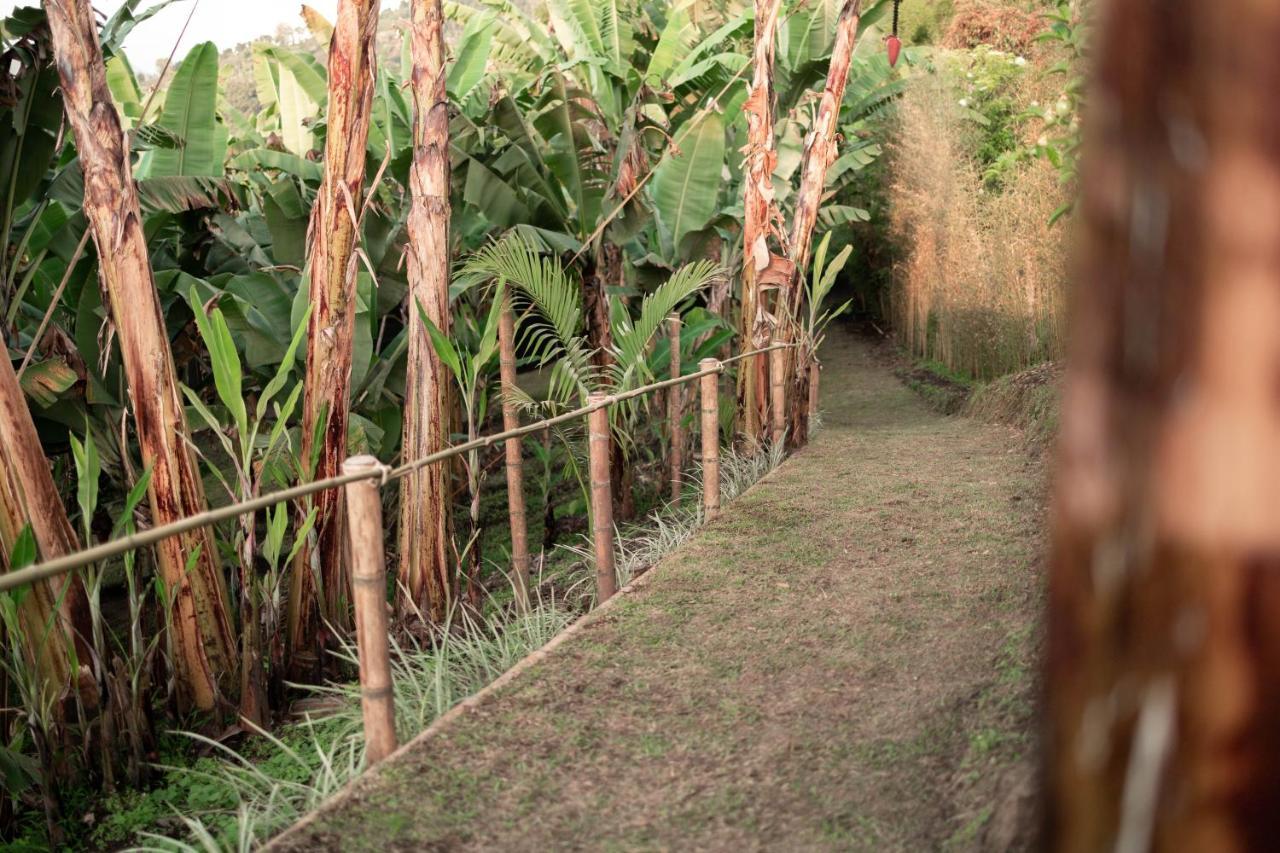 Chami Glamping Βίλα Manizales Εξωτερικό φωτογραφία