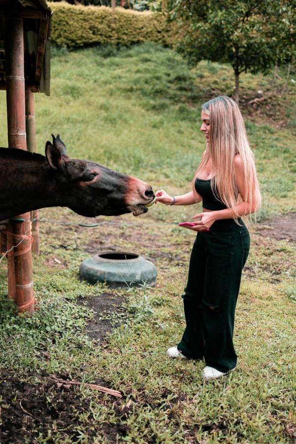 Chami Glamping Βίλα Manizales Εξωτερικό φωτογραφία