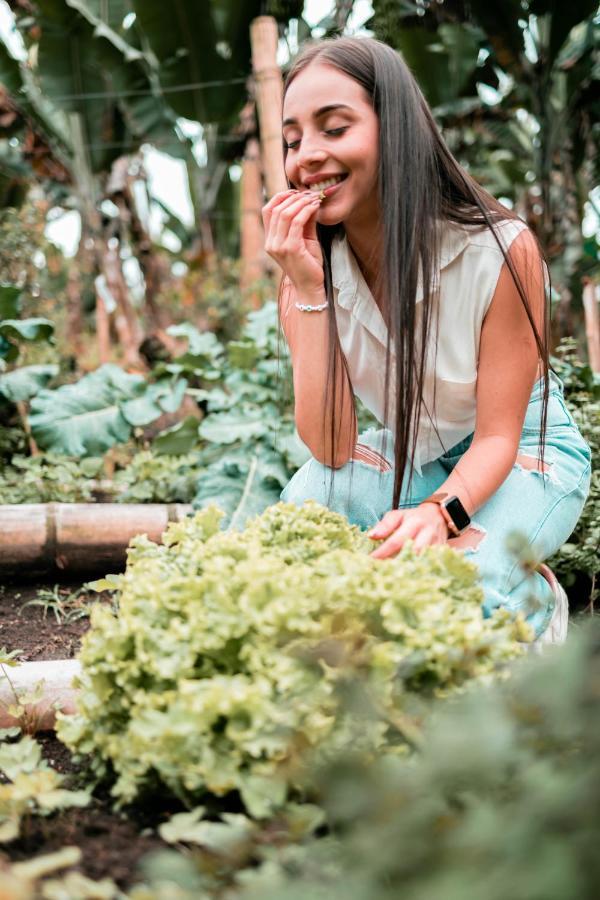 Chami Glamping Βίλα Manizales Εξωτερικό φωτογραφία