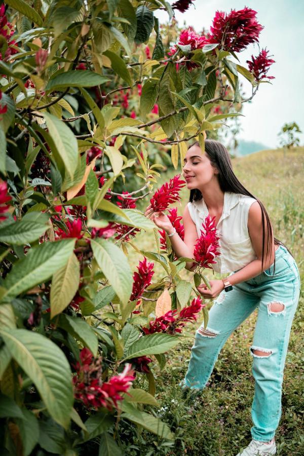 Chami Glamping Βίλα Manizales Εξωτερικό φωτογραφία