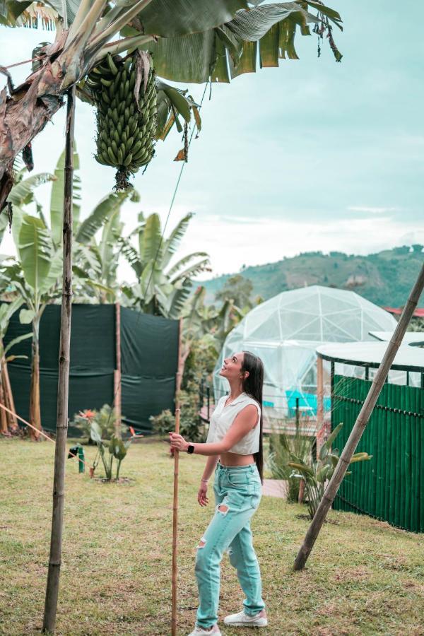 Chami Glamping Βίλα Manizales Εξωτερικό φωτογραφία