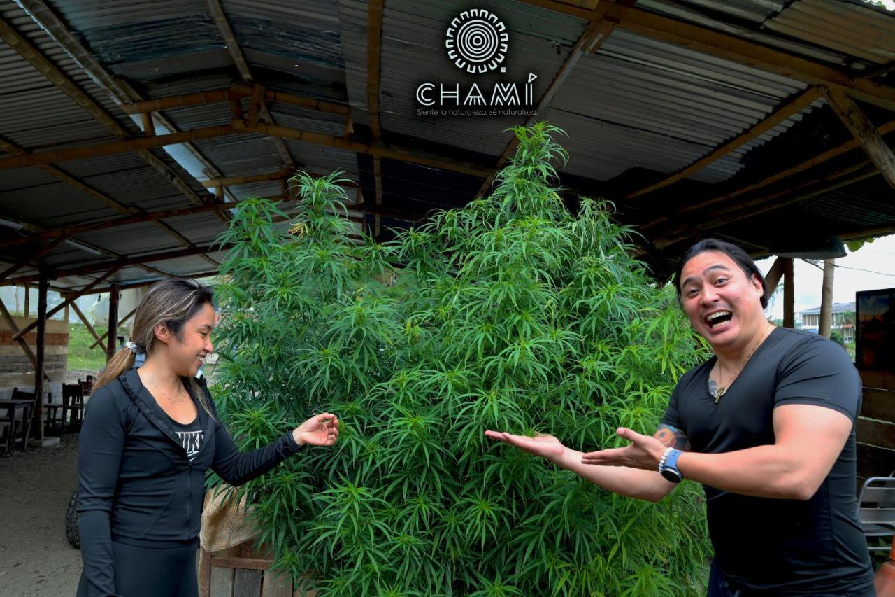 Chami Glamping Βίλα Manizales Εξωτερικό φωτογραφία