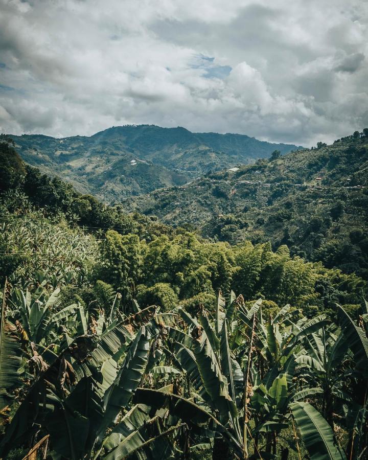 Chami Glamping Βίλα Manizales Εξωτερικό φωτογραφία