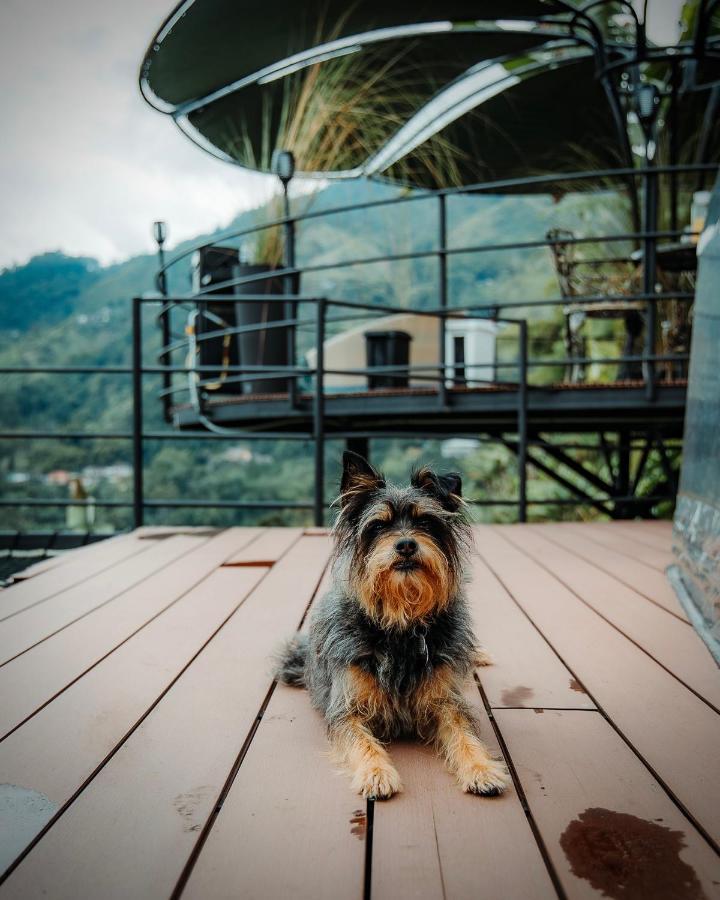 Chami Glamping Βίλα Manizales Εξωτερικό φωτογραφία