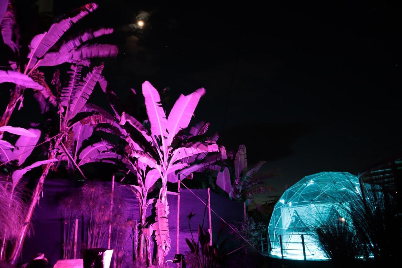 Chami Glamping Βίλα Manizales Εξωτερικό φωτογραφία