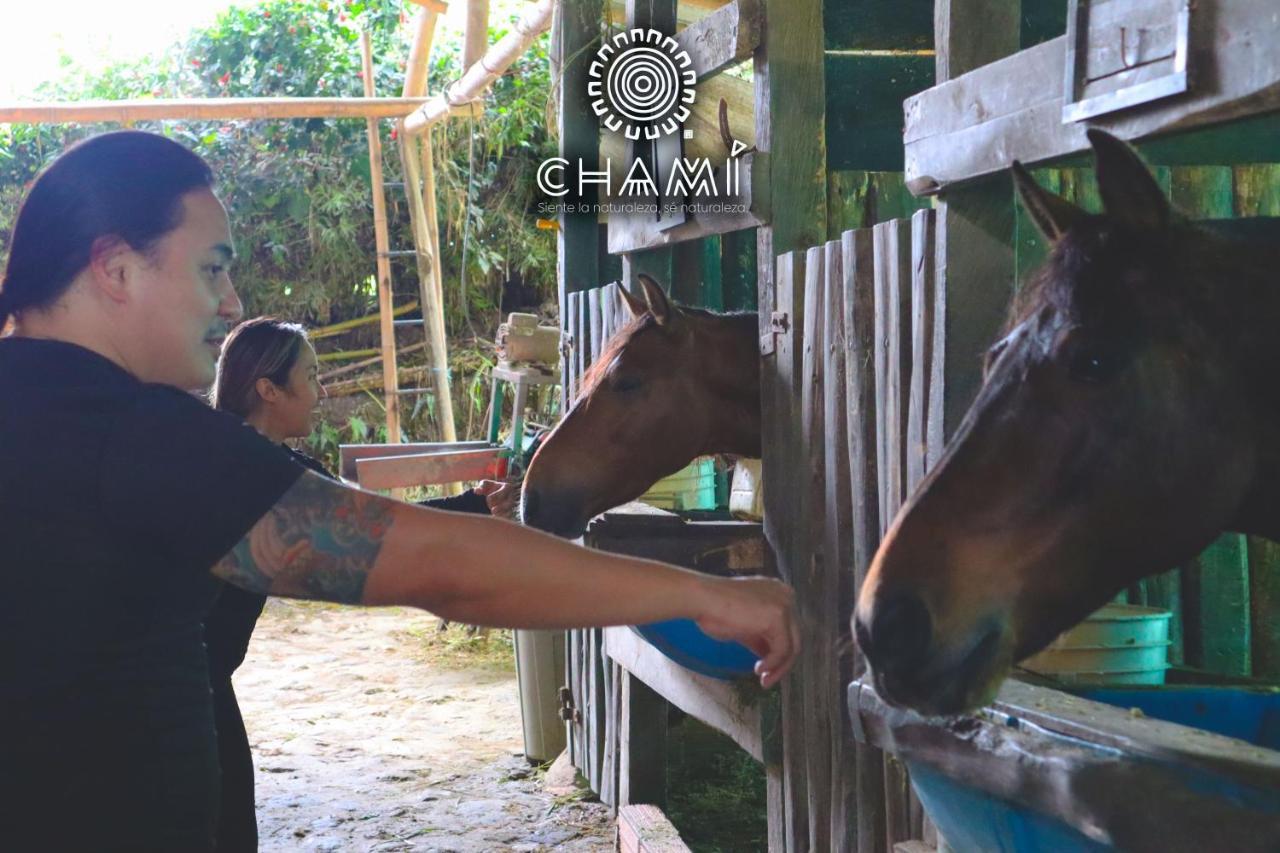 Chami Glamping Βίλα Manizales Εξωτερικό φωτογραφία